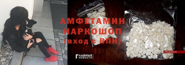 СК Каменногорск