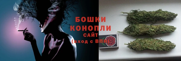 МДПВ Каменка