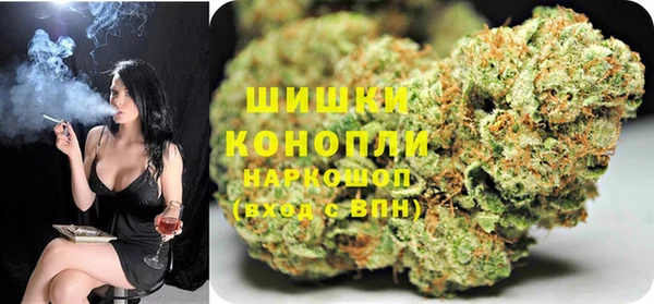 МДПВ Каменка