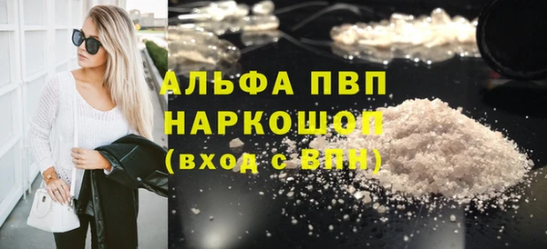 СК Каменногорск