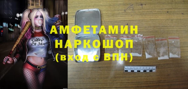 МДПВ Каменка